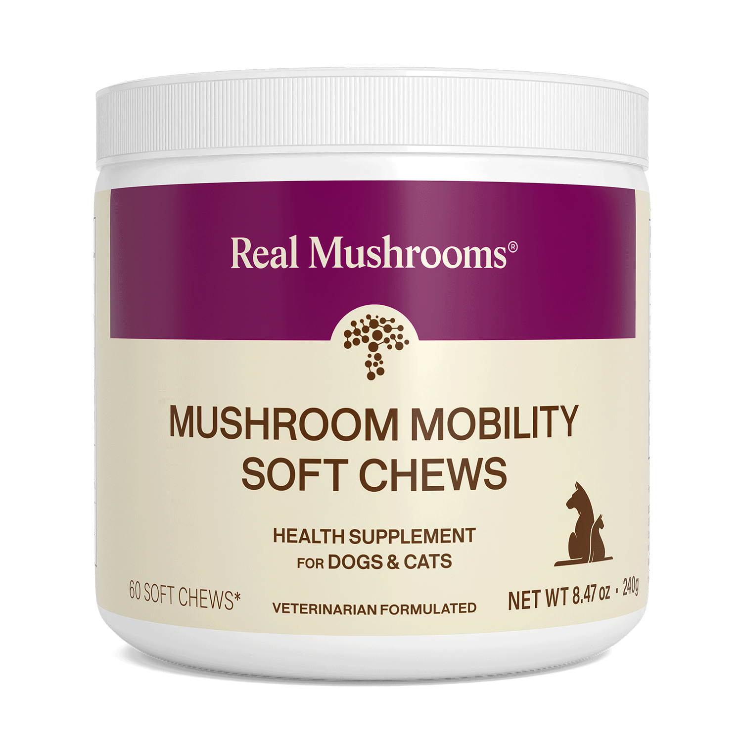 Mushroom Protocol for Lyme Disease: Supporting Recovery With Fungi