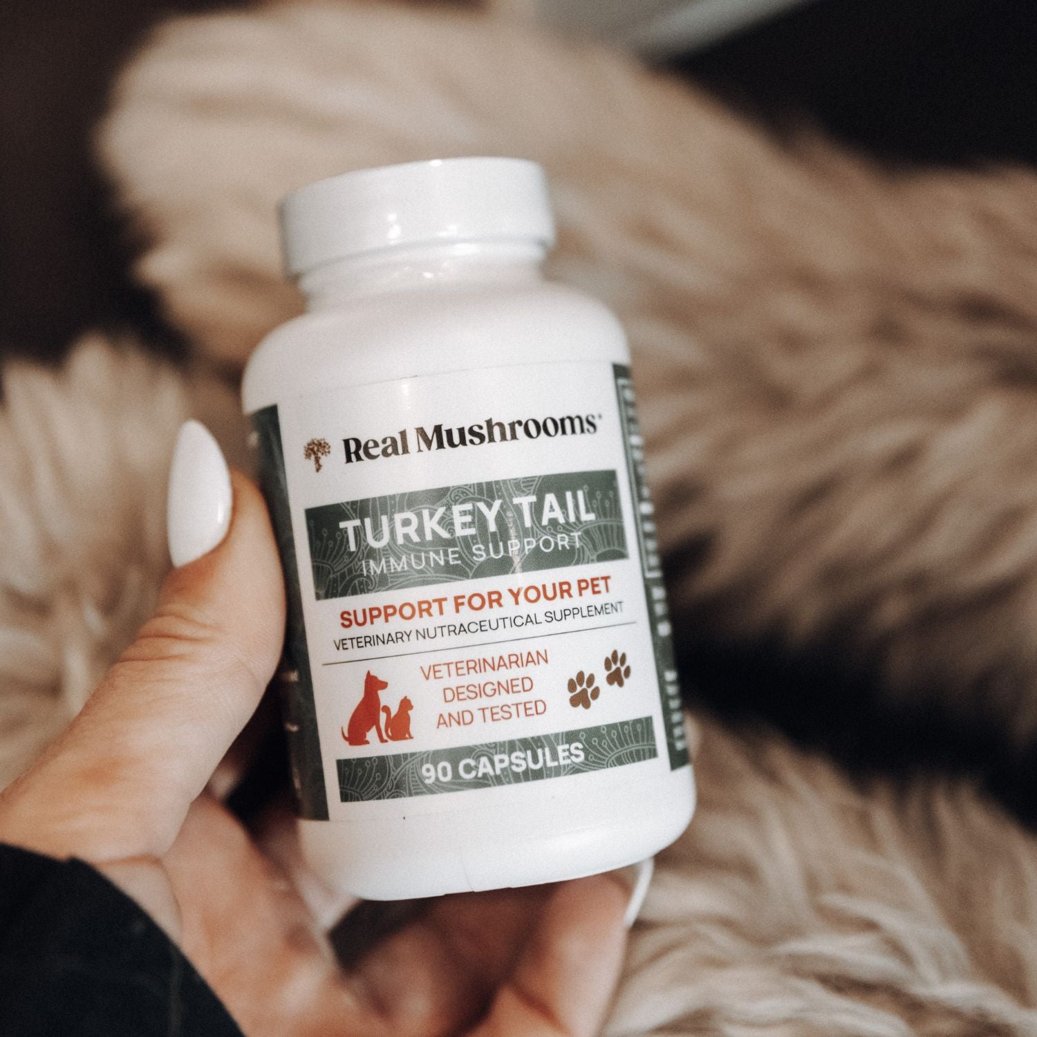 A hand holds a bottle labeled "Real Mushrooms Turkey Tail Extract Capsules for Pets," a supplement with 90 capsules made from organic mushrooms and rich in beta-glucans.