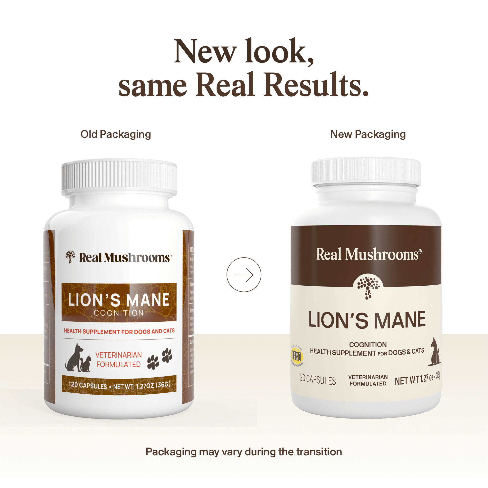 Lion'S Mane Powder Vs Capsules: A Side-By-Side Comparison