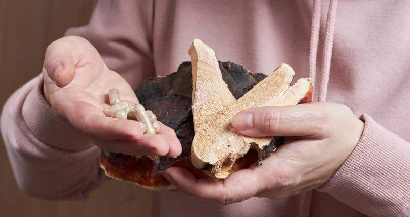 How to I.D. the Best Reishi Mushroom Supplement cover