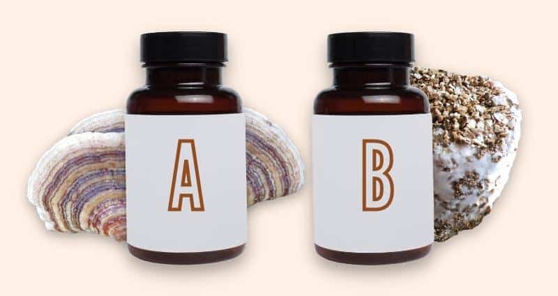 Finding the Best Turkey Tail Mushroom Supplement: A Buying Guide cover