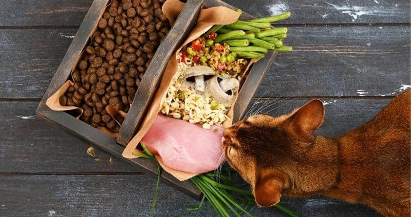 A Better Bowl of Pet Food: Mushrooms & 5 Other Superfoods for Furry Friends cover