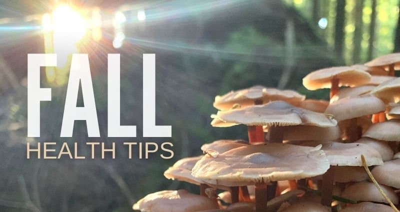 Fall Health Tips: A Mushroom-centric Survival Guide cover