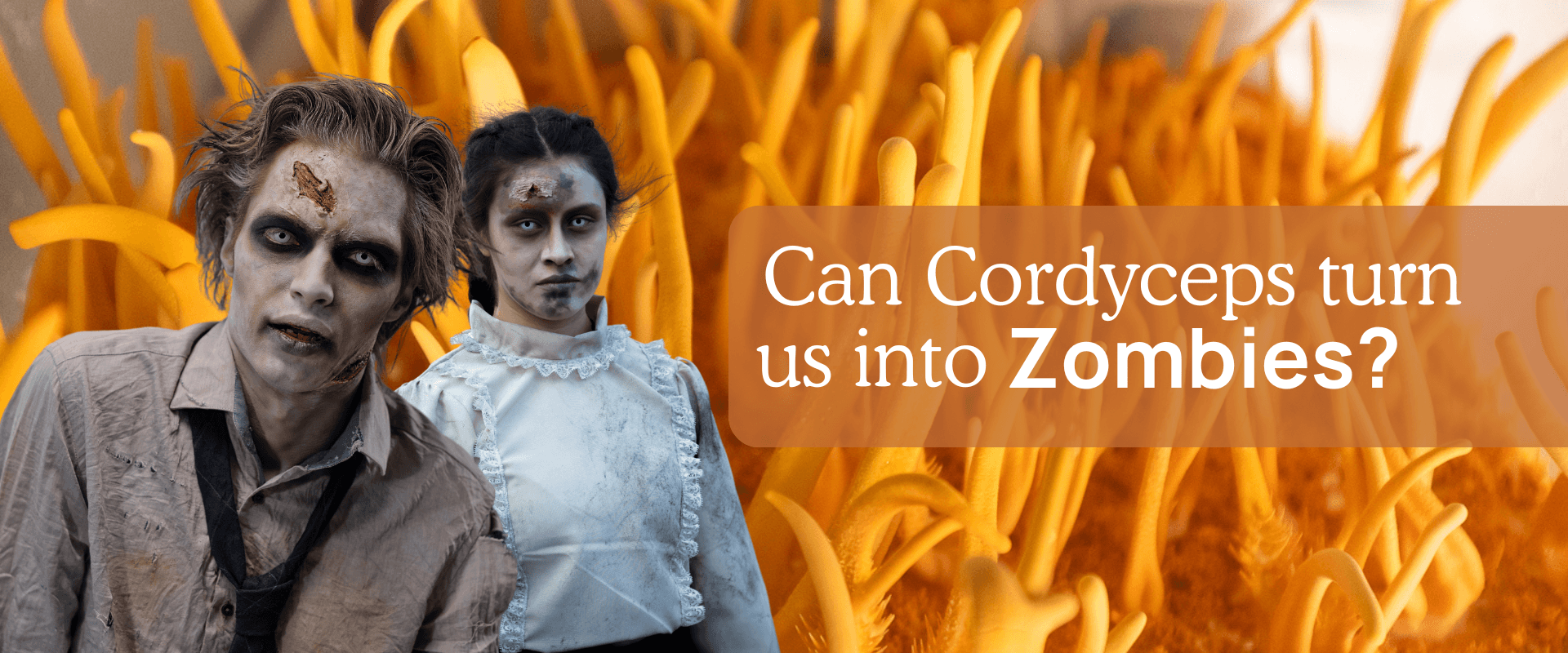 From Zombie Fiction to Functional Reality: The Truth About Cordyceps