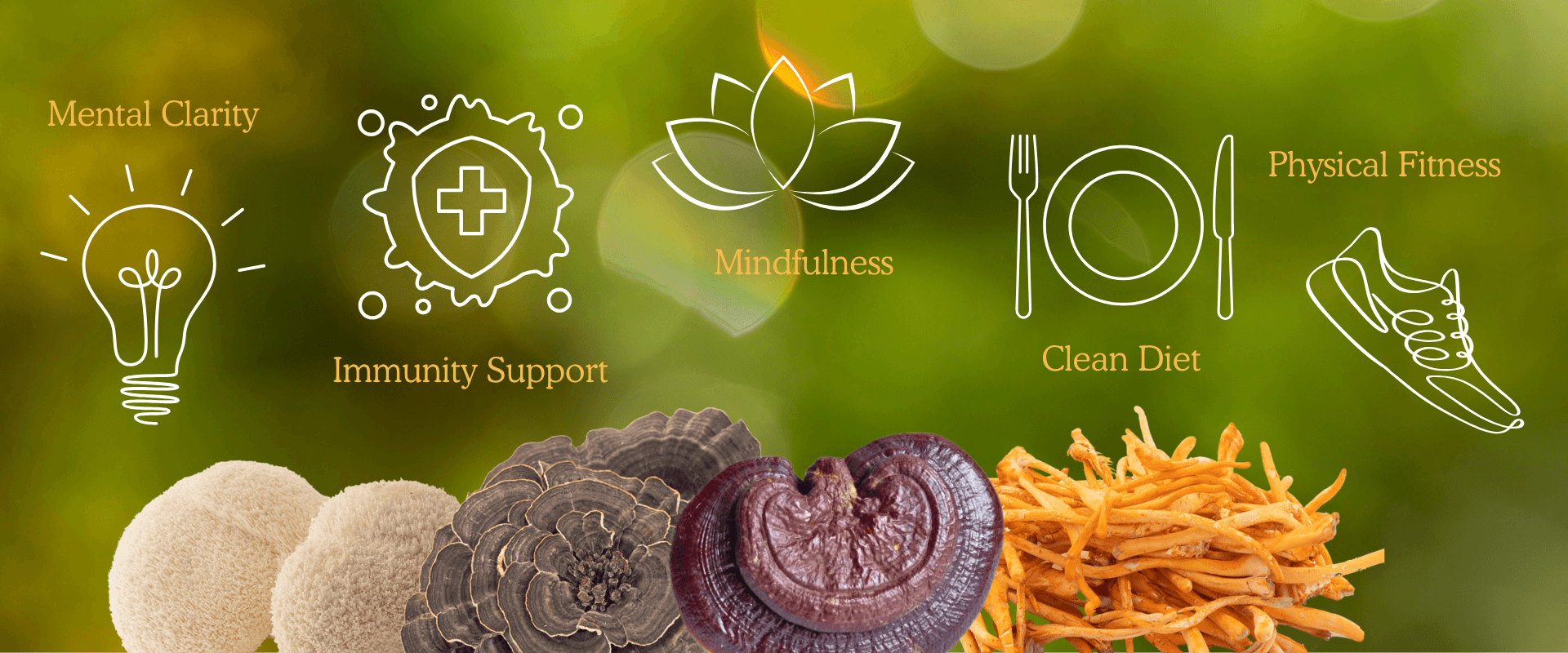 Mushrooms for 2025 Resolutions: Supporting 5 Wellness Goals