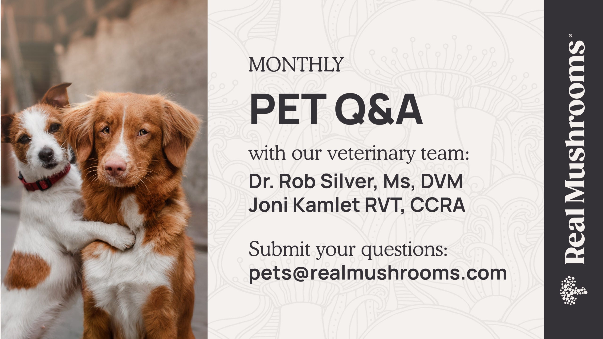 Got Pet Questions? Get Live Answers From Our Veterinarian Team