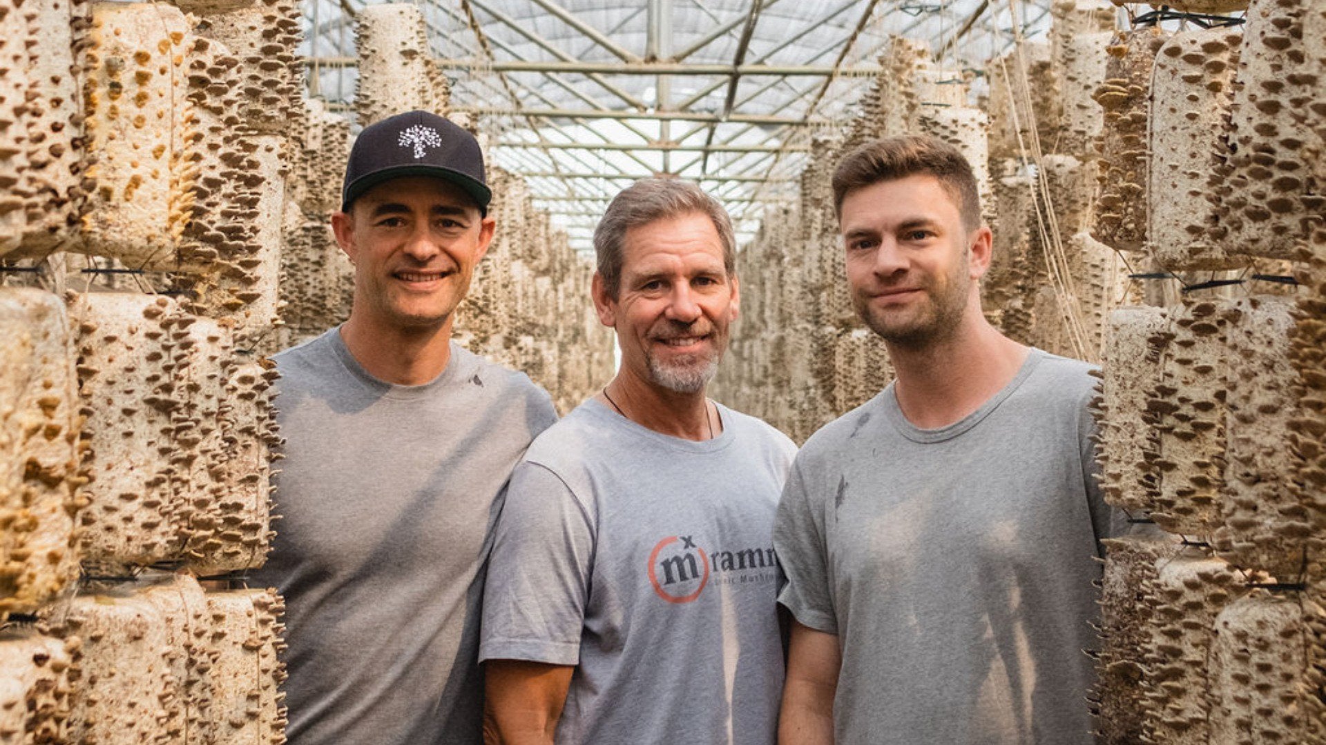 Real Mushrooms Through the Years: A Legacy of Innovation in Functional Mushrooms