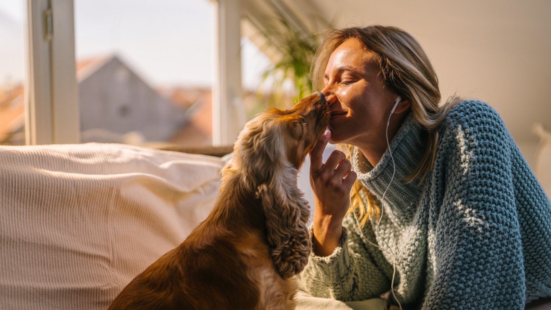 Love Lives in Daily Rituals: Functional Mushrooms You Can Trust for Pets