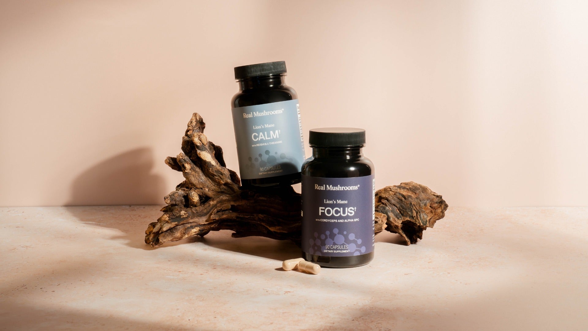Lion’s Mane Blends Bundles: Built for Focus, Calm & Daily Balance