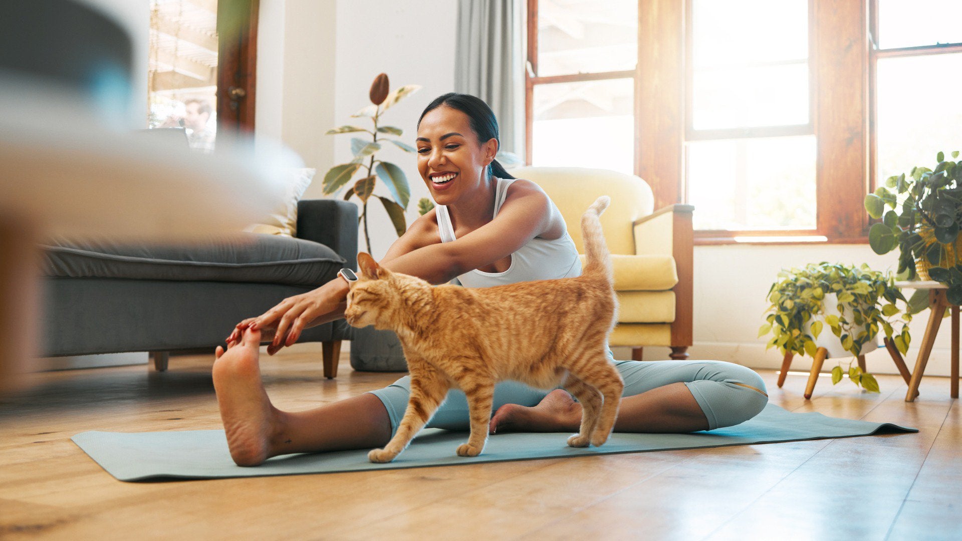 Seasonal Changes in Pets: Understanding How Dogs and Cats Adapt