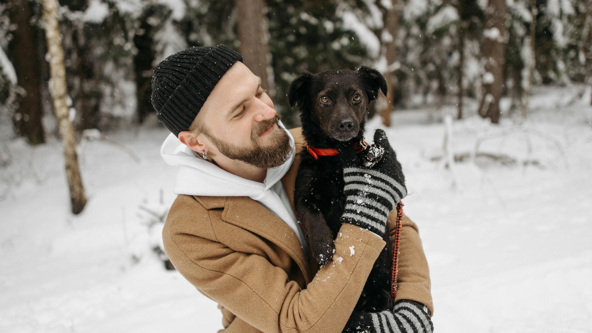Winter Wellness: Building Resilience for You and Your Pets