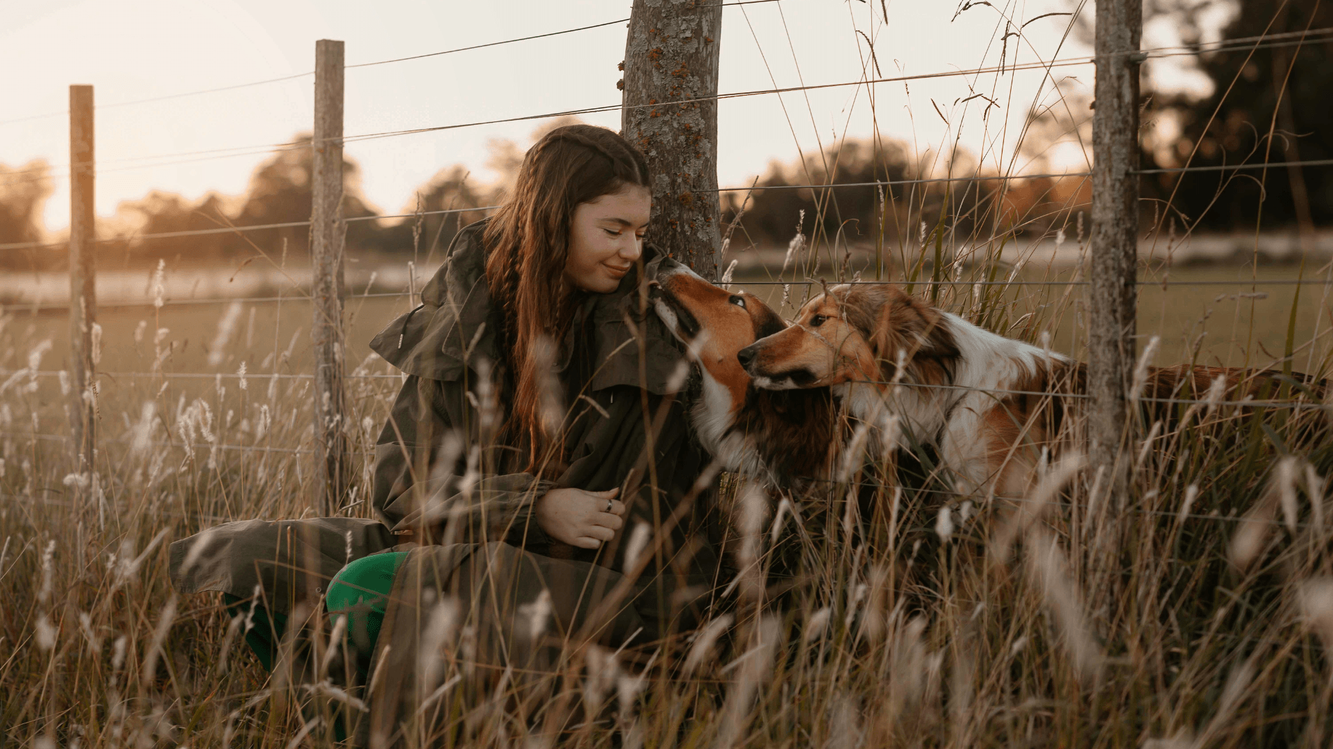 Fall Pet Wellness: Immune Support, Seasonal Foods & Cozy Evenings