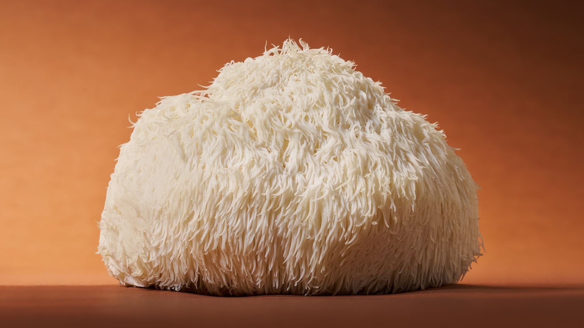 Lion’s Mane for Dummies: A Friendly Guide to the Smart Mushroom