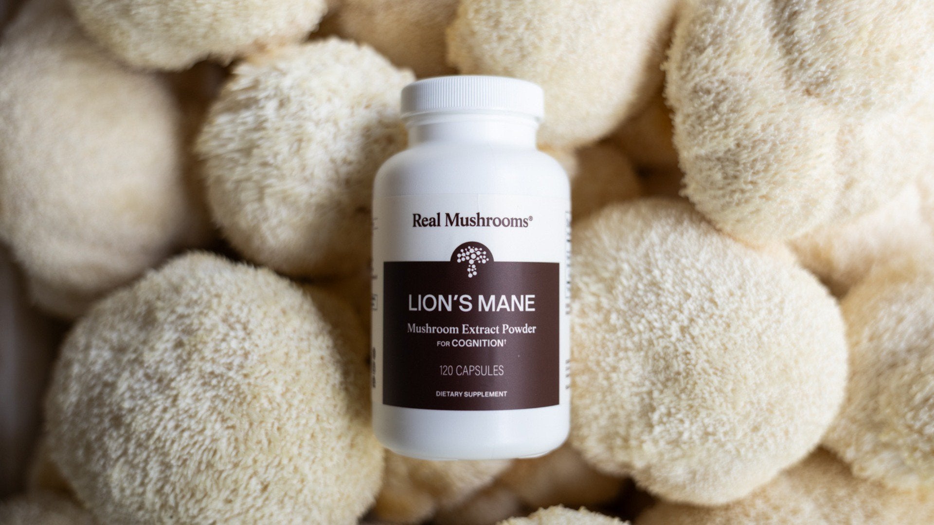 Lion's Mane Mushroom Benefits: A Complete Supplement Guide