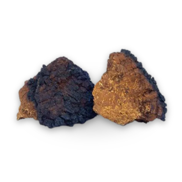 Two black and brown rocks on a black background.