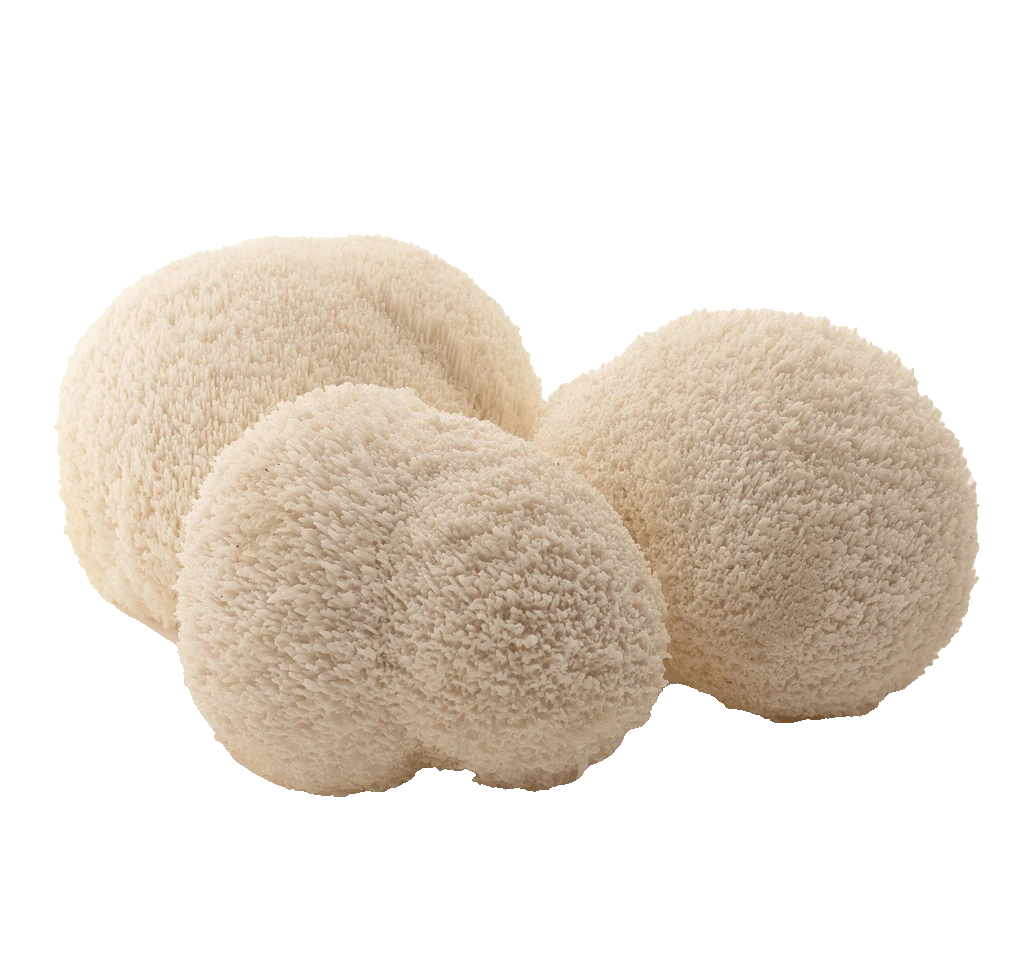 A white fluffy pillow on a black background.