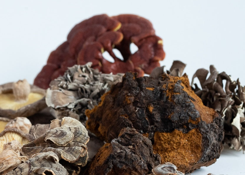 A scoop rests in a mound of light brown protein powder, with some of the powder slightly scattered around.