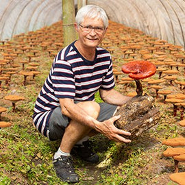 Jeff Chilton. Organic Reishi Farm, 1994.