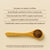 A wooden spoon holds brown mushroom powder on a light surface, showcasing Real Mushrooms' Turkey Tail Extract Capsules for Pets and their beta-glucans benefits. Disclaimer: This product has not been evaluated by the FDA.