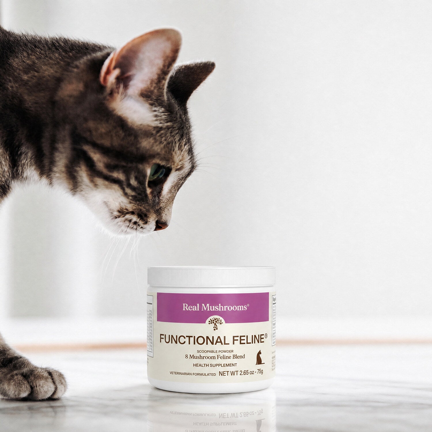 A tabby cat stands near a container labeled “Functional Feline® Powder for Cats” by Real Mushrooms, a cat wellness supplement, on a white surface.
