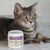 A grey tabby cat sits beside an open container of Real Mushrooms Functional Feline® Powder for Cats, an organic mushroom supplement, on a white surface.
