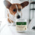 A brown and white dog sniffs a container labeled "Mushroom Immune Pet Chews" by Real Mushrooms, showcasing these chews for pet immune support, placed on a white surface indoors.