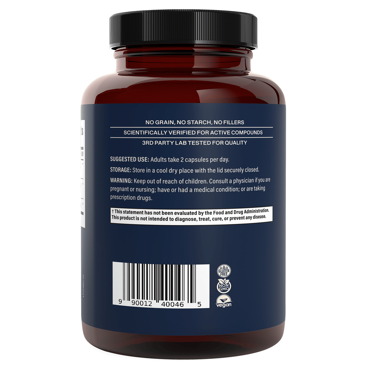 Lion's Mane Focus – Real Mushrooms