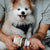 A person holds a bottle of Real Mushrooms Organic Lion's Mane Extract Capsules for Pets next to a small dog with its mouth open, possibly smiling.