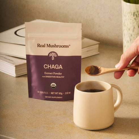 A hand adds Real Mushrooms Organic Chaga Extract Powder to coffee on a countertop with books in the background, highlighting its immune support benefits.