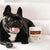 A black French Bulldog sits on a white surface next to a container of Real Mushrooms Mushroom Relax Pet Chews, calming treats for pets made with organic mushroom extracts.