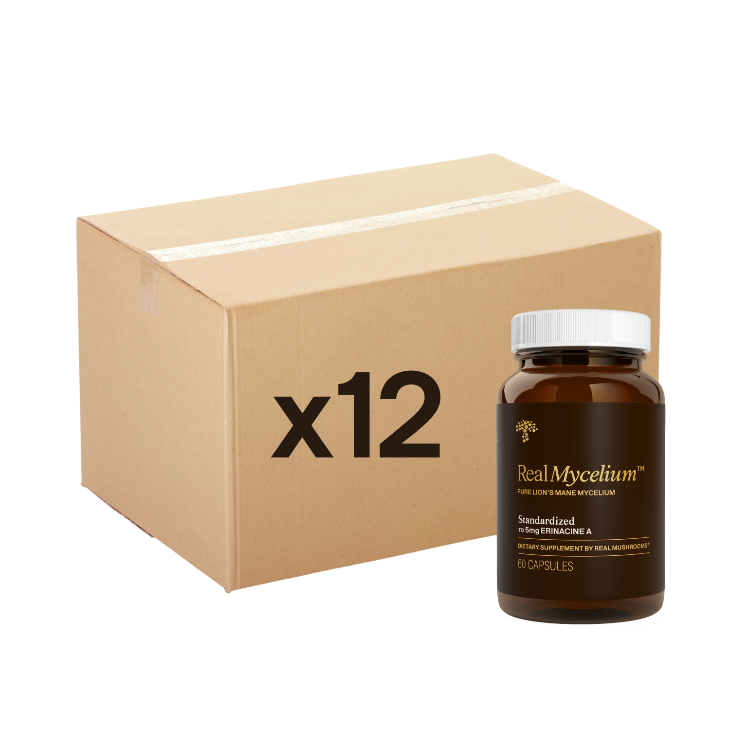 A brown bottle labeled "Real Mycelium" by Real Mushrooms stands before a box marked "x12," indicating a 12-pack of Lion’s Mane supplements called Real Mycelium - 12 Units, known for cognitive support.