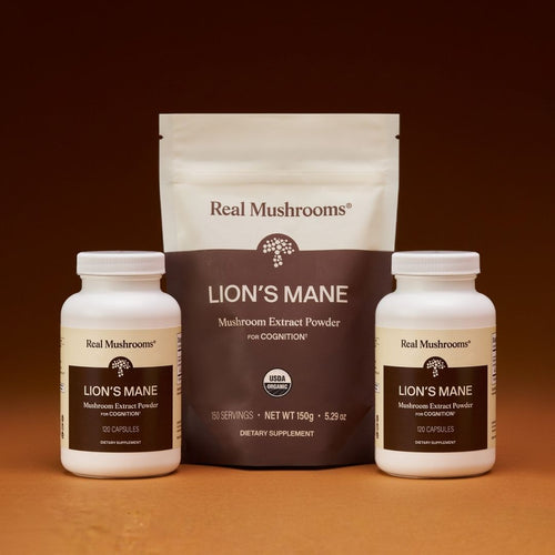 Three containers of the Lion's Mane Focus Bundle by Real Mushrooms, including two bottles of capsules and one bag of organic mushroom extract powder, are shown against a brown background.