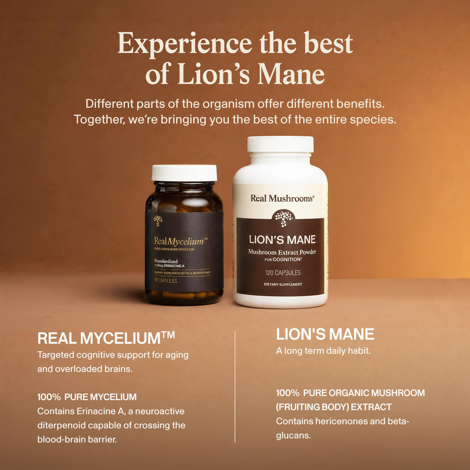 Two Real Mycelium™ supplement bottles from Real Mushrooms are shown on a brown background, emphasizing cognitive support with Erinacine A. Product details appear in white text above and below the bottles.