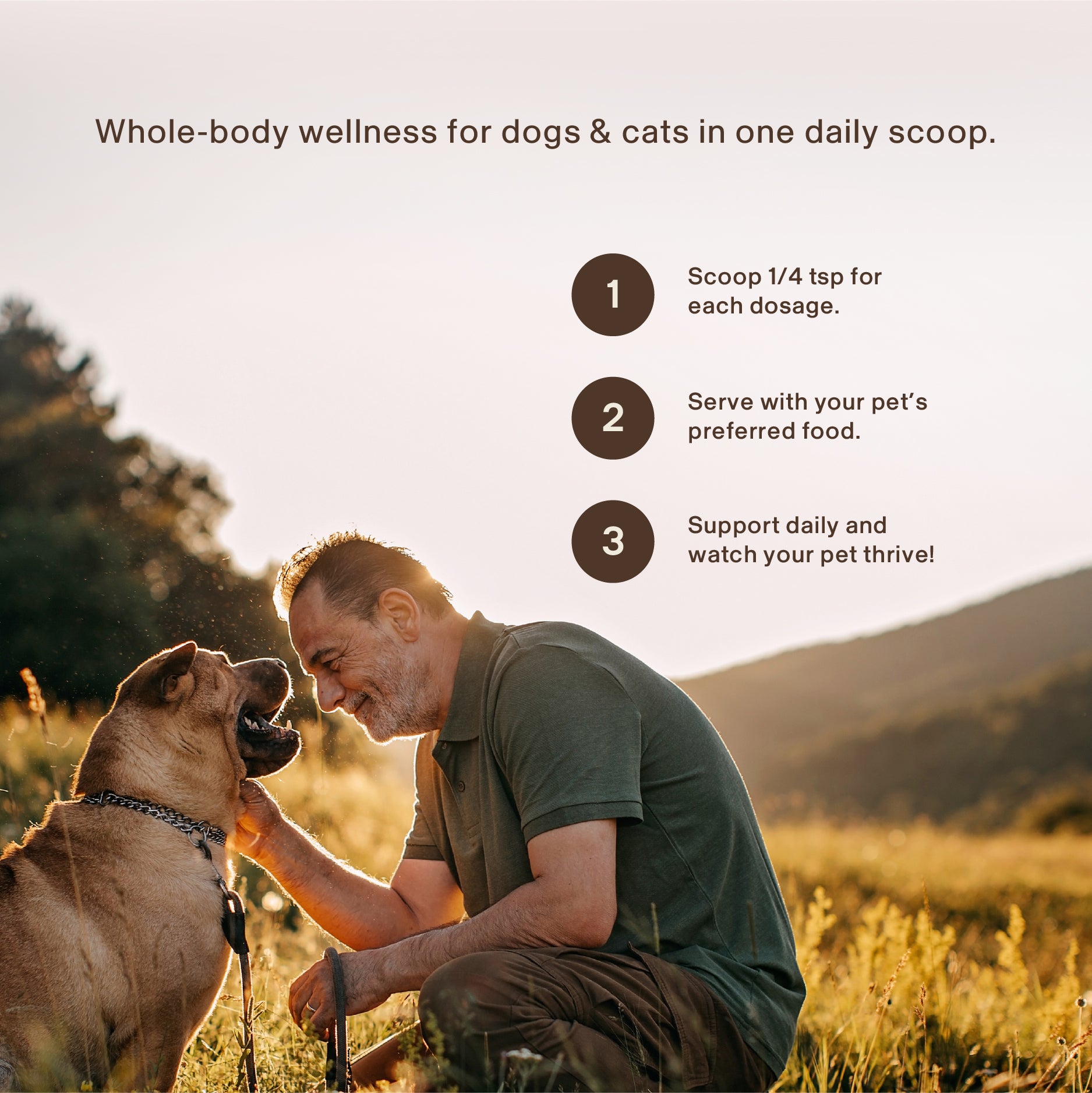 A man kneels in a field at sunset, smiling and holding his dog’s face. Text explains how Real Mushrooms Pet Defenders with Qrill™Pet provides antioxidant protection and immune support for dogs and cats using organic mushroom powder.