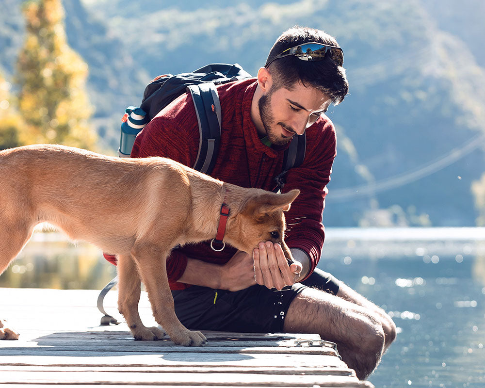 Man sitting by a lake with a dog, both looking at something on the ground.