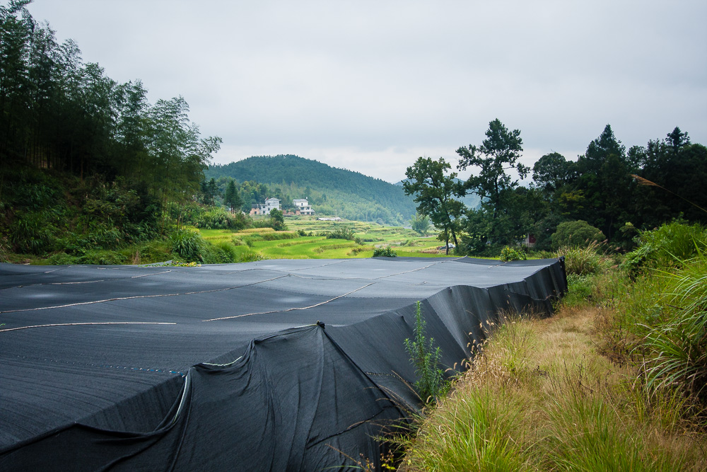 A rural landscape showing black plastic sheeting where mushrooms are grown in the foreground, with terraced fields and tree-covered hills in the background under a cloudy sky.