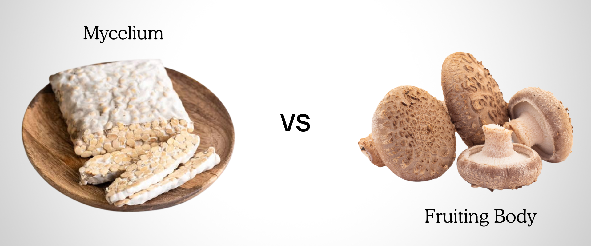 A comparison image featuring vibrant fruiting body mushrooms on the right, contrasted with the intricate web of mycelium on the left.