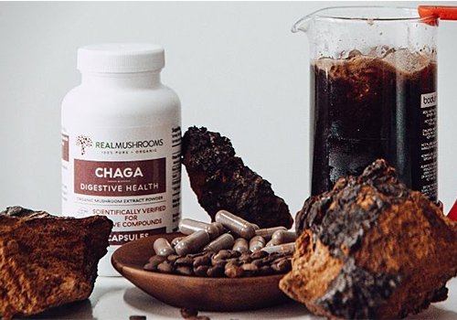 Chaga Antioxidants