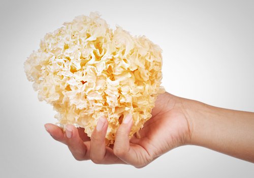 Mushroom benefits for skin - Tremella