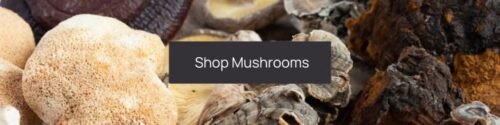 Close-up of various mushrooms with a banner in the center that reads "Shop Mushrooms - Discover Mushroom Benefits for Skin".