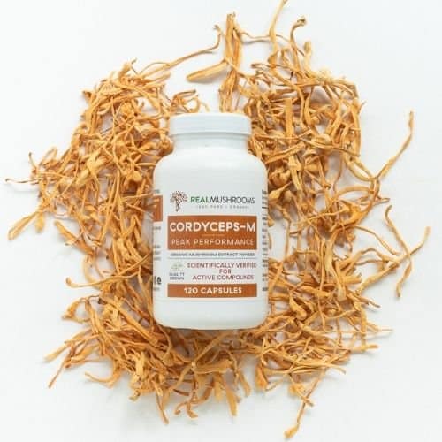 Cordyceps Mushrooms Capsules