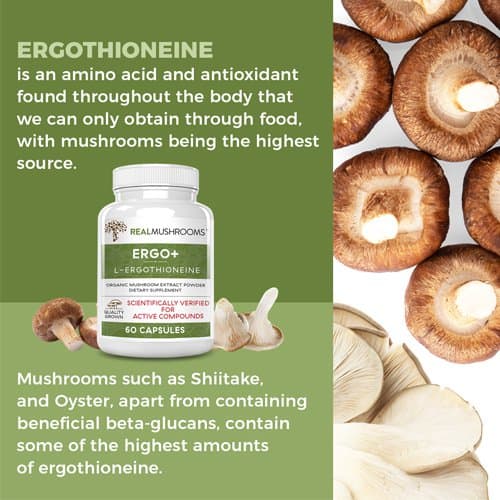 Ergothioneine facts