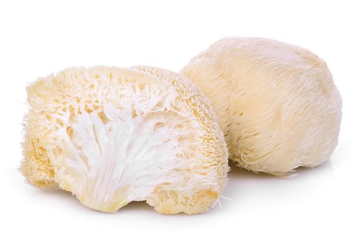 Lion's Mane Mushroom Benefits for the Brain