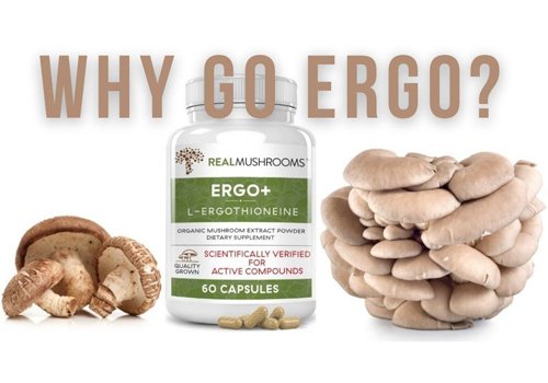 Why go ergo