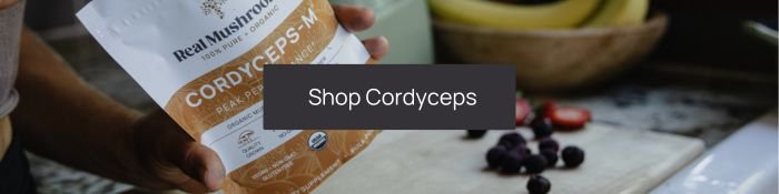 shop cordyceps mushroom