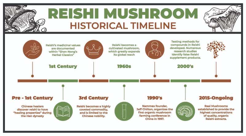 Reishi Mushroom Benefits And Usage: A Comprehensive Guide