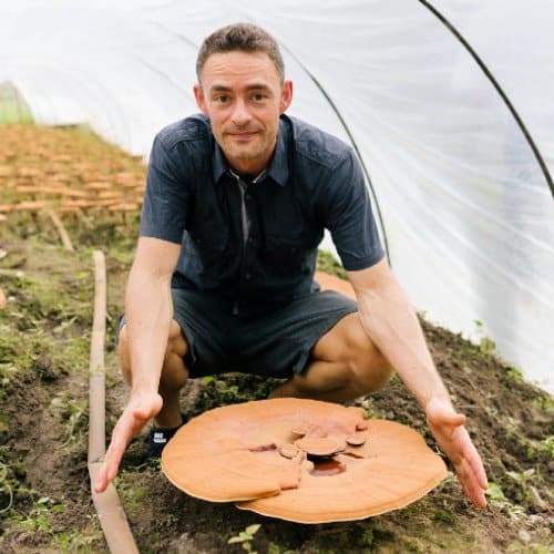 Organic reishi farm