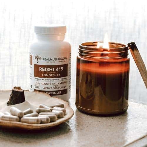 Reishi Mushroom Supplement