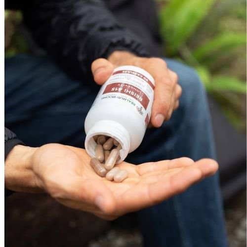 Reishi mushroom supplement