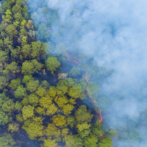 Decontaminating water from wildfire ash toxins